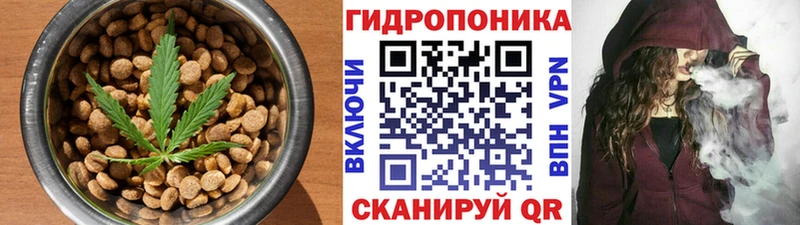 Купить закладки  Гусь-Хрустальный  Cannafood марихуана 