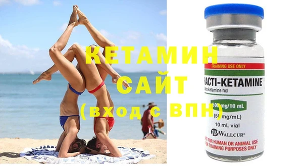 шишки Ельня