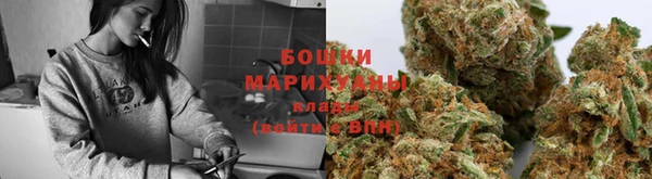 спиды Елизово