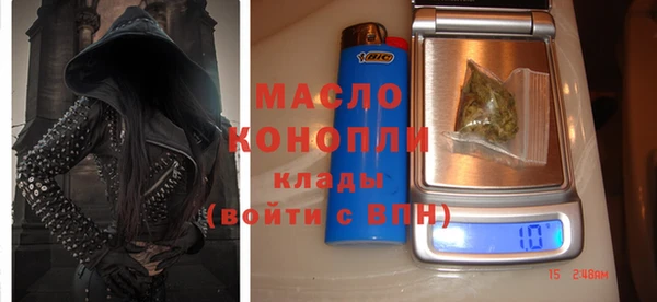 шишки Ельня