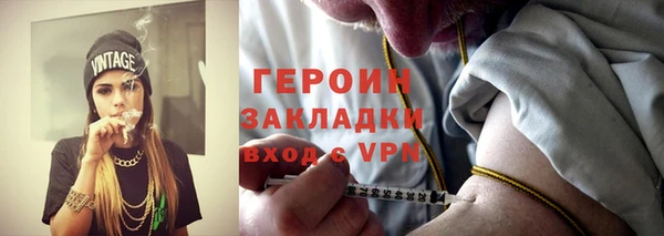 шишки Ельня
