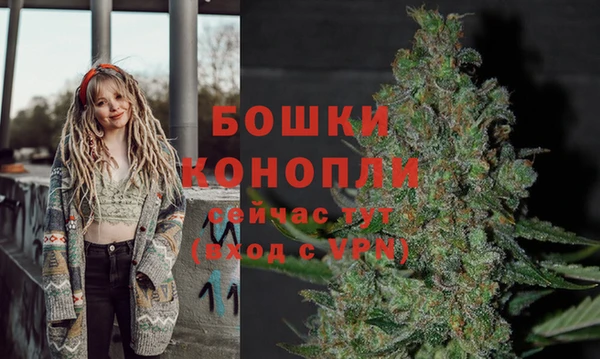 шишки Ельня