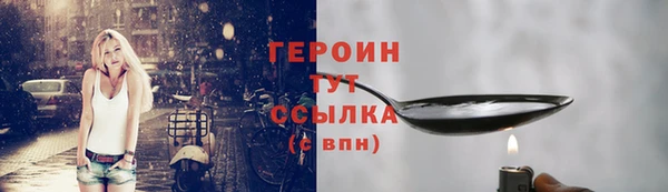 шишки Ельня