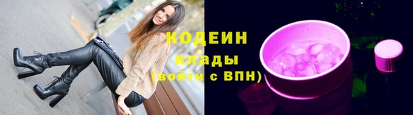 шишки Ельня