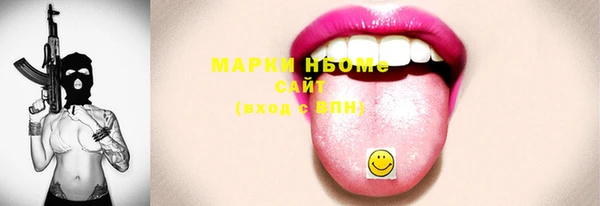 шишки Ельня