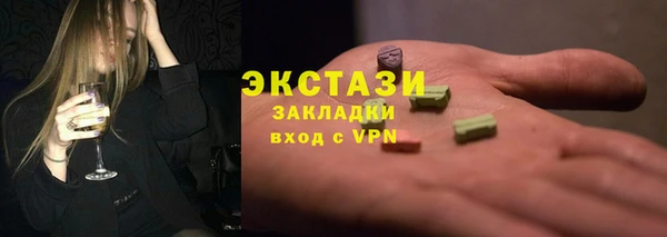 шишки Ельня