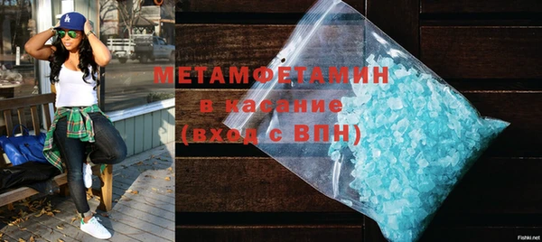 шишки Ельня
