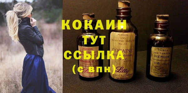 шишки Ельня