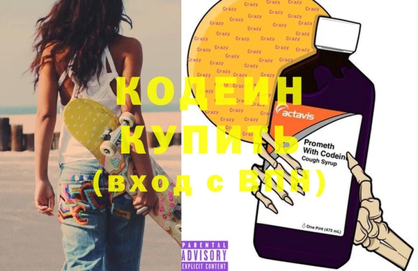шишки Ельня