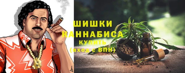 шишки Ельня