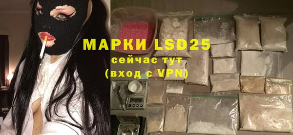 шишки Ельня