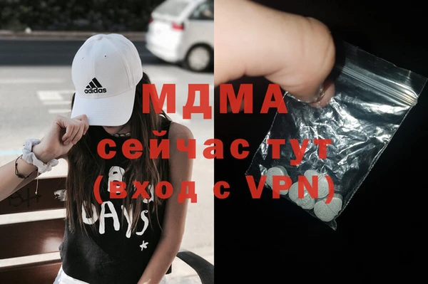шишки Ельня