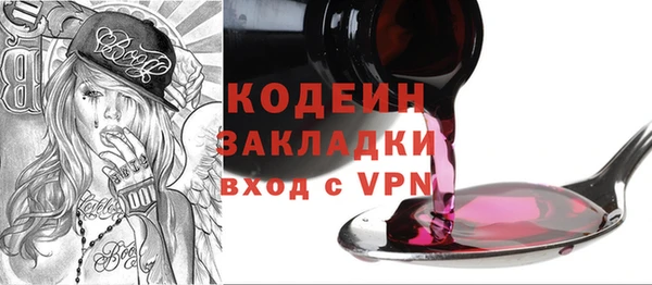 шишки Ельня