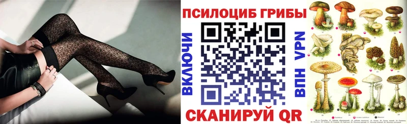 Галлюциногенные грибы Psilocybine cubensis  Купить закладки  Гусь-Хрустальный 